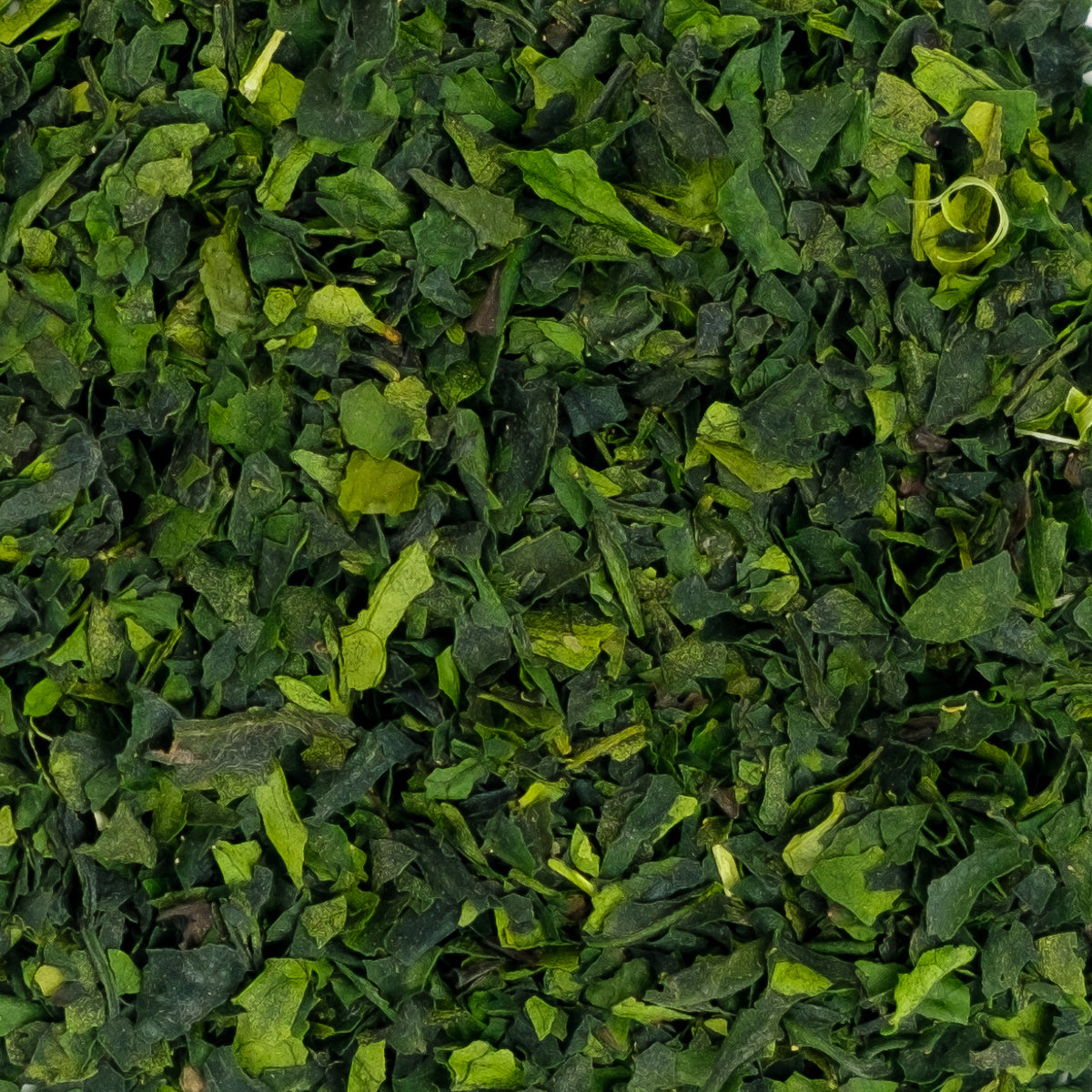 Tencha + Matcha Bundle
