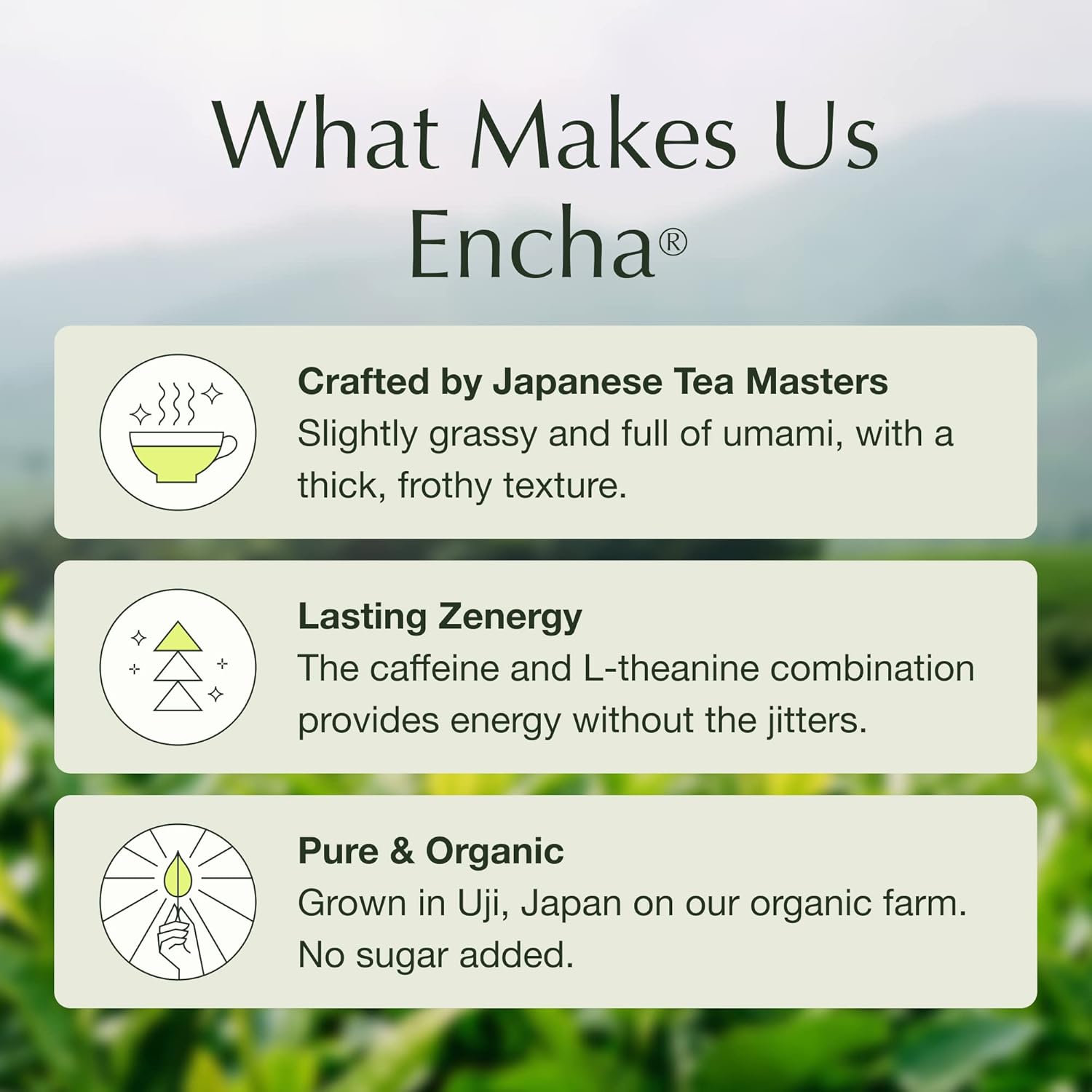 Encha Latte Grade Matcha Powder