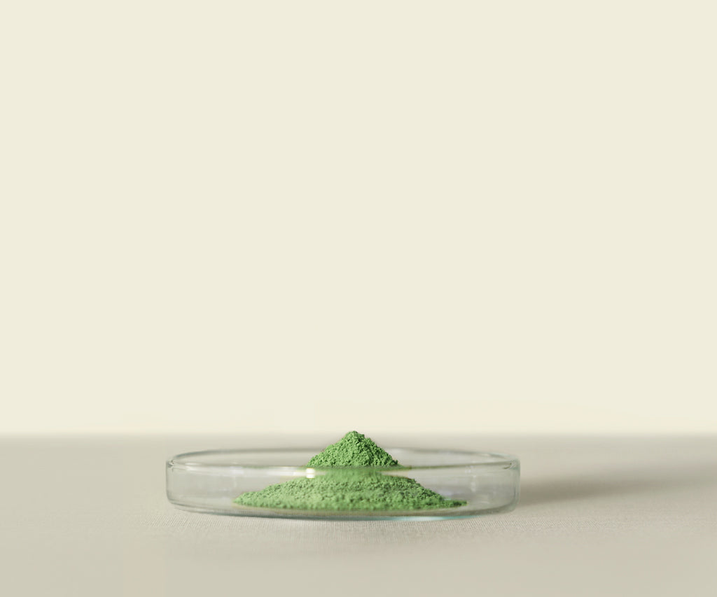 Custom - Midori™ Culinary Matcha 1kg (NO LABEL)
