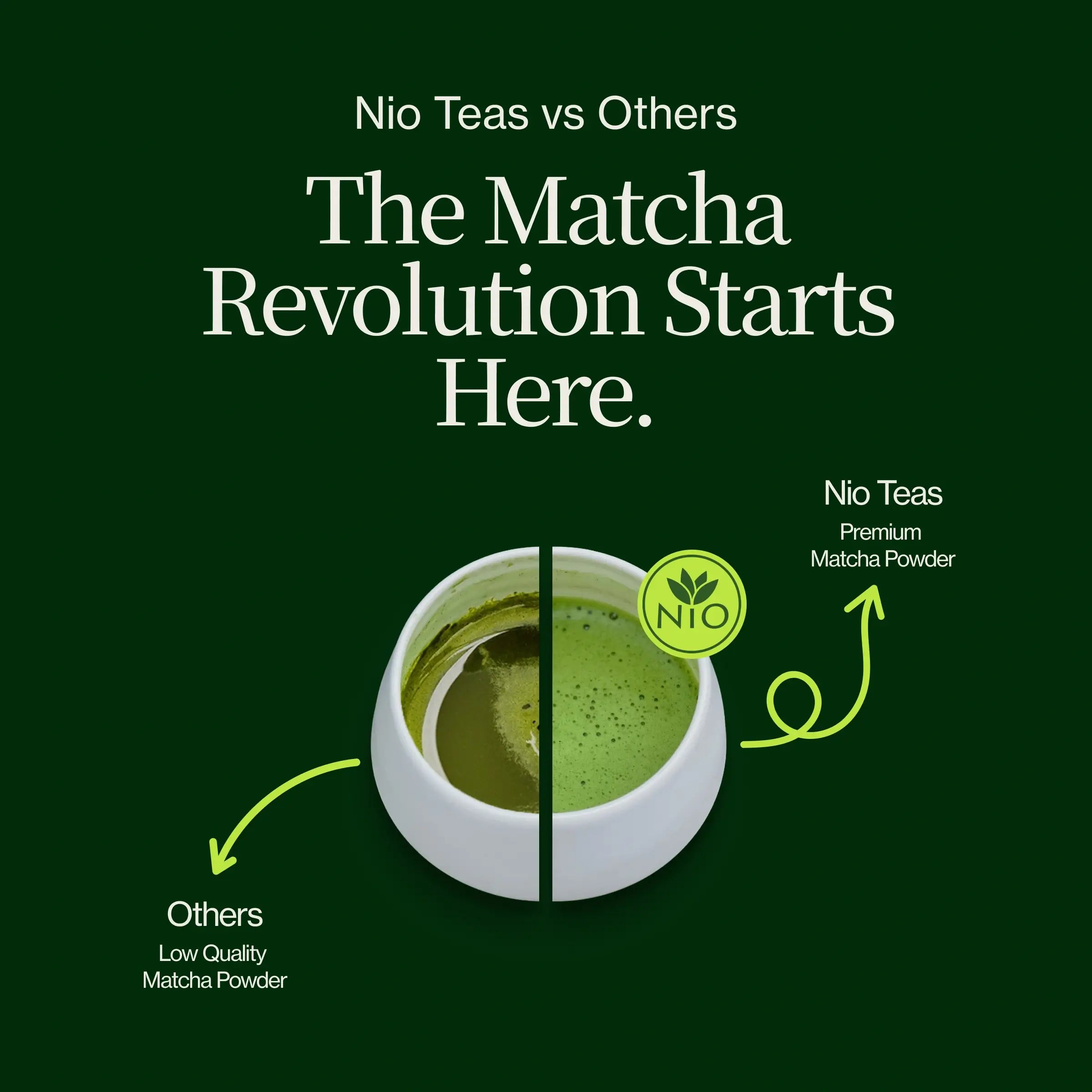 Chanoka Yabukita Matcha