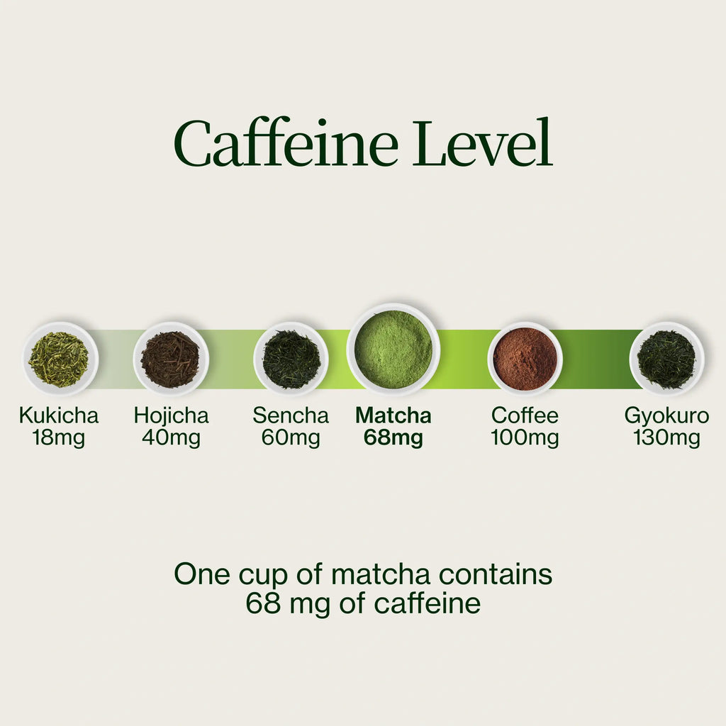 Asamiya Yabukita Matcha