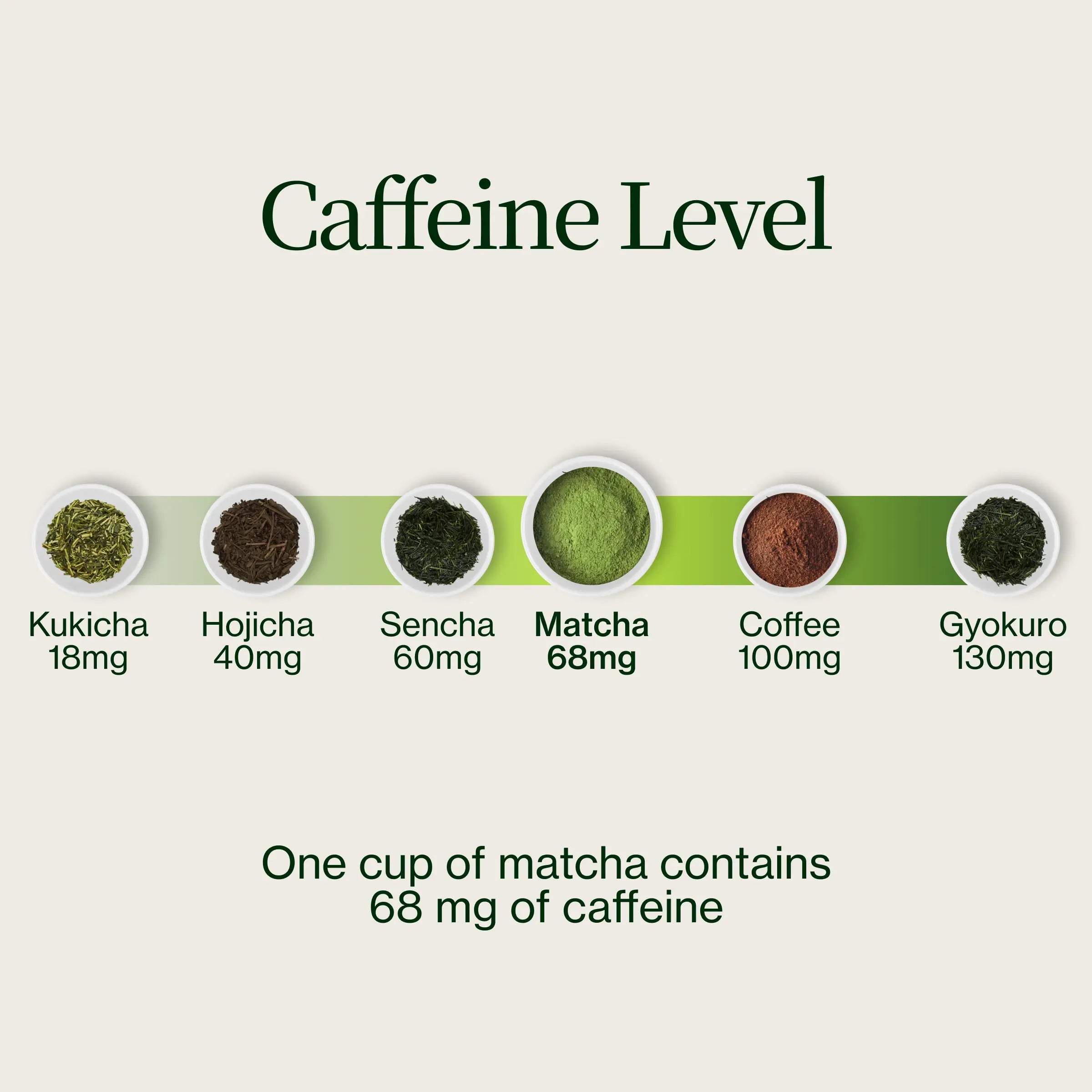 Asamiya Yabukita Matcha