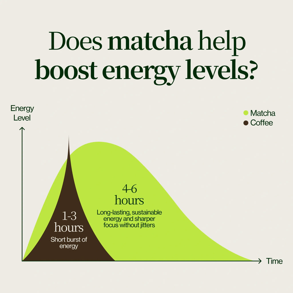 Chanoka Yabukita Matcha