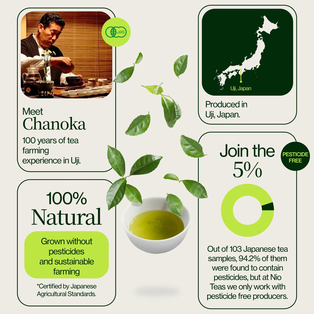 Chanoka Yabukita Matcha