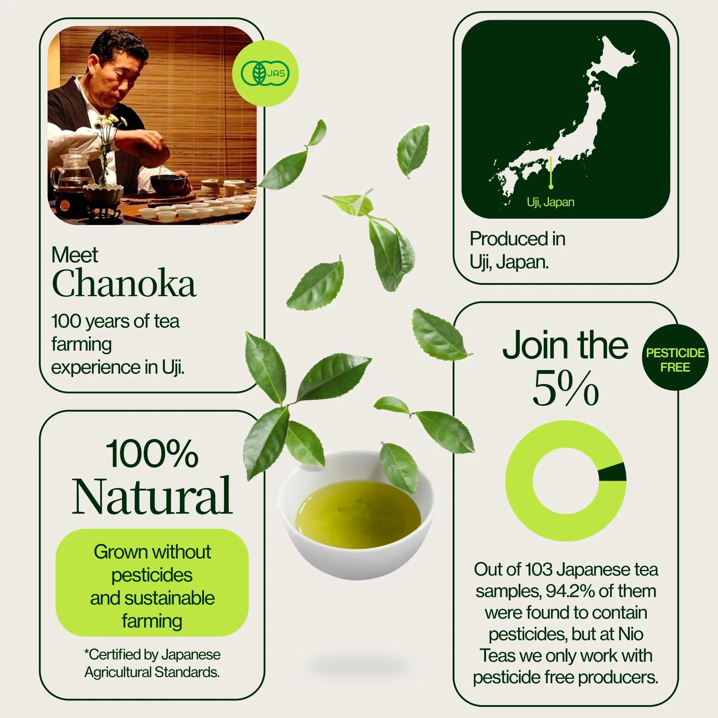 Chanoka Yabukita Matcha
