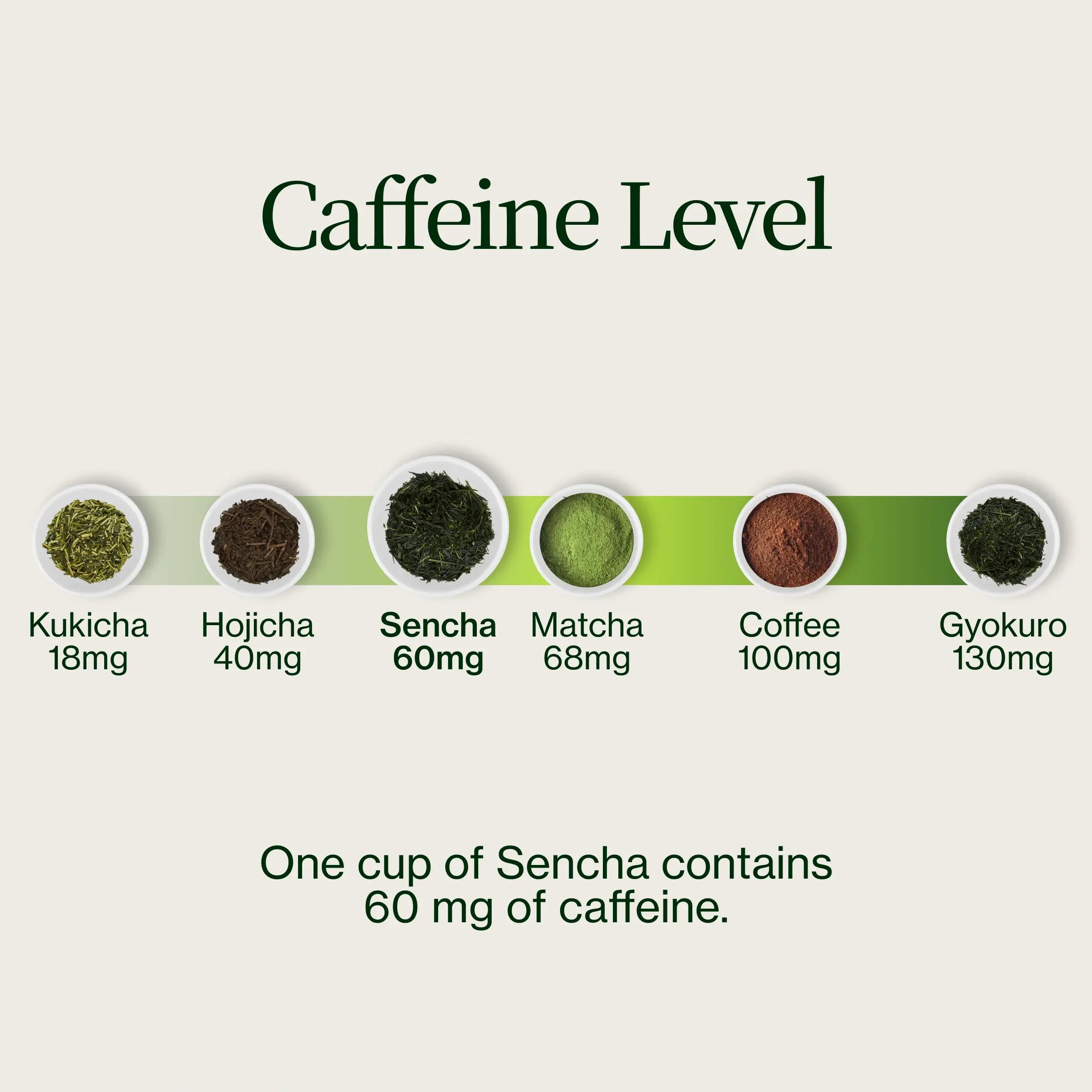 Sencha Shizuku with Matcha Powder