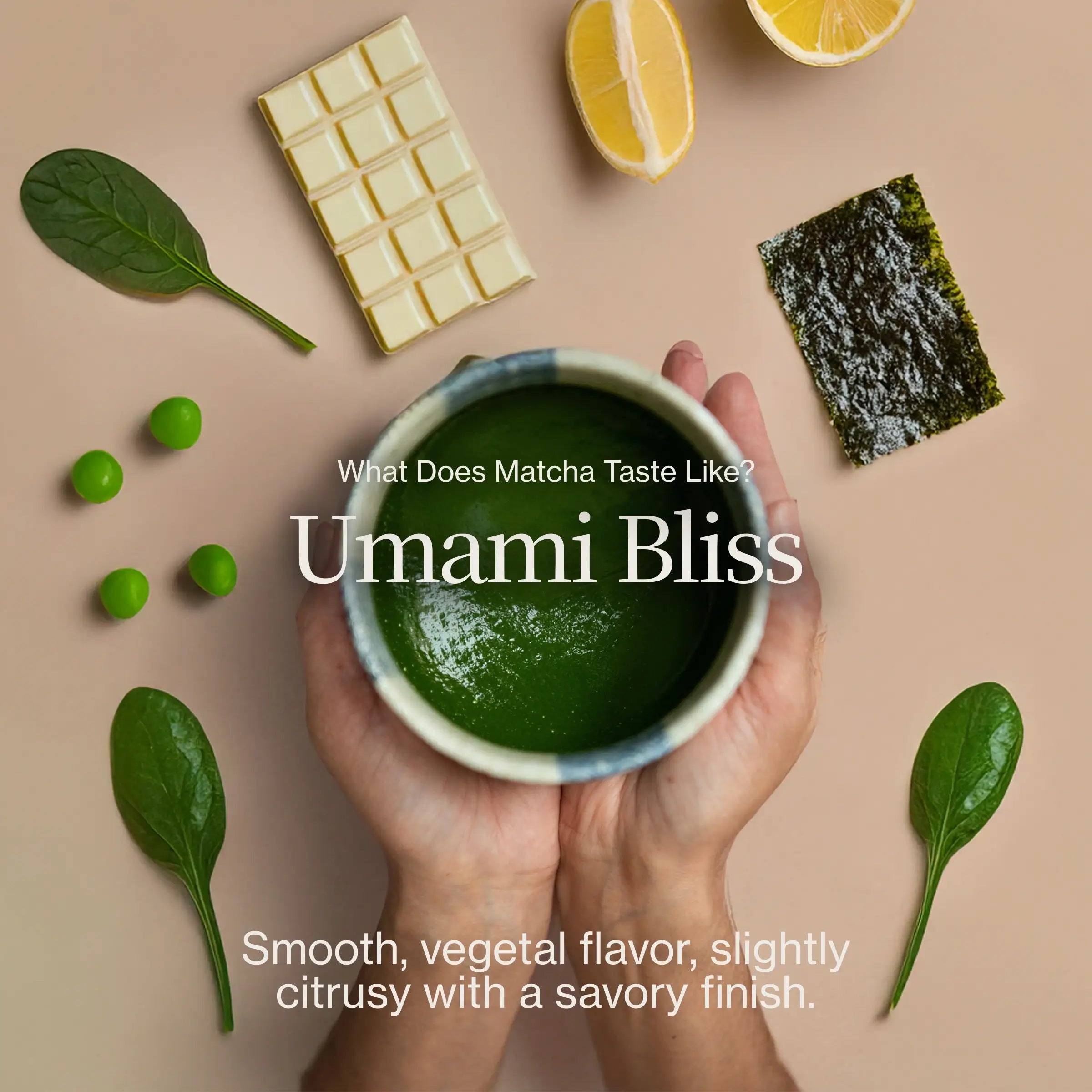 Asamiya Saemidori Matcha