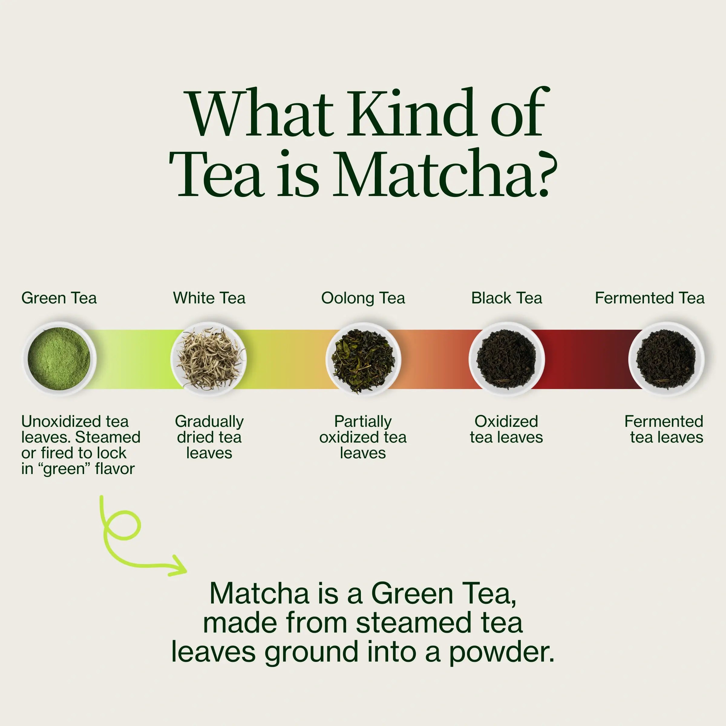 Asamiya Yabukita Matcha