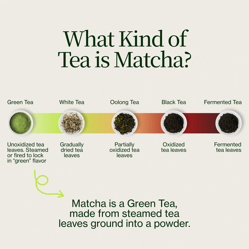 Asamiya Sayamamidori Matcha